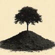 © Laila - Lone Tree Stands Tall Atop Dark Soil Mound