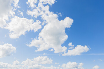 Wall Mural - a vibrant blue sky adorned with white fluffy clouds