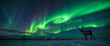 © Anastasiya - Majestic reindeer standing under vibrant aurora borealis, northern beauty