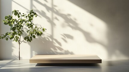Poster - bright indoor space featuring a wooden platform and a small green plant with light casting shadows o