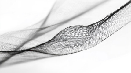Poster - A black and white image of a woman's body with a black and white net. The image has a mood of mystery and intrigue