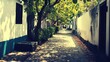 © Egriva - Sunny cobblestone alleyway, lush foliage, whitewashed buildings, tranquil village, travel brochure