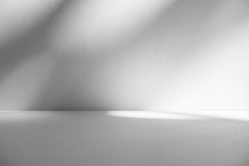 Poster - Wall interior background, studio and backdrops show products.with shadow from window color white and grey. background for text insertion and presentation product