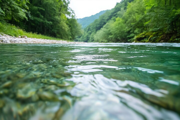 Poster - serene river flows smoothly through lush green forest, creating peaceful natural scene