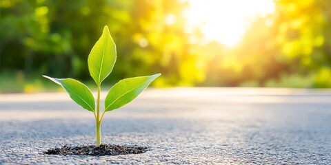 Leinwandbilder - A roadmap for success, outlining a clear mission, strategic vision, and actionable steps to achieve sustainable growth.