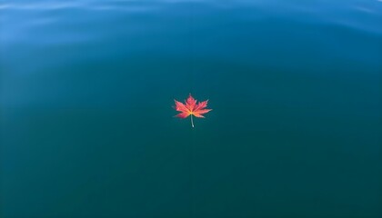 single leaf floating in a body of water
