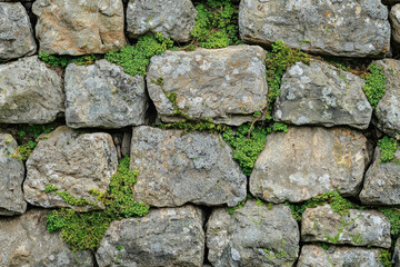 Aufkleber - A rustic stone wall, weathered and textured, with vibrant green moss and plants growing in between the stones.