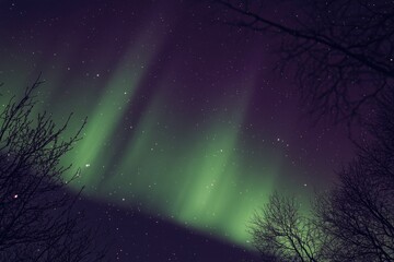 Wall Mural - the sky is dark and the stars are shining brightly. the image has a mood of serenity and calmness