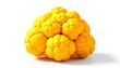 © Monster - A detailed digital rendering of a golden-yellow, cauliflower-like structure against a bright white background
