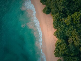 Poster - Lush coastal landscape with clear turquoise waters and sandy beach during daylight