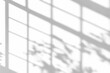 © Cool-Hunter - shadow overlay effects of realistic window and tree branch shadow with light blur on transparent background,Summer sunlight and shadow overlay effect