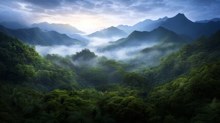 Poster - Dense jungle foliage meets towering Chinese mountains shrouded in mist, creating a mystical atmosphere during the early morning light
