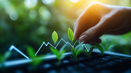 Poster - Hand tending to seedlings with a financial growth chart overlayed in a bright outdoor setting