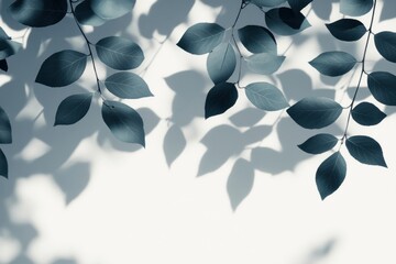 Poster - Leaves cast delicate gray shadows, forming a peaceful interplay of shapes on a neutral surface under natural light