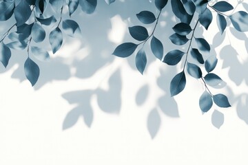 Poster - Leaves cast delicate gray shadows on a white surface, creating a tranquil visual effect that highlights the beauty of nature