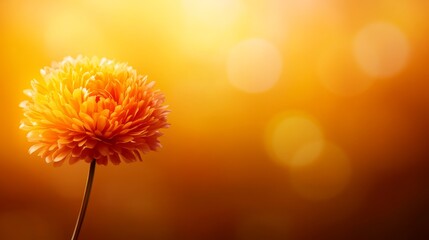 Aufkleber - A vibrant sparkler glows brightly against a backdrop of soft golden bokeh lights, setting a joyful scene ideal for New Year’s greetings and invitations