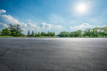 Wall Mural - empty asphalt road and green trees on a sunny day