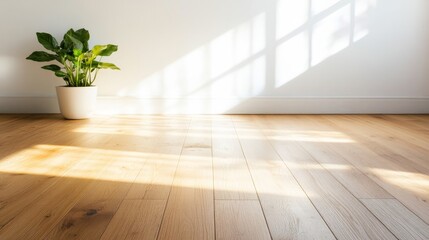 Leinwandbilder - Empty white room highlights tranquility with a polished wooden floor and a single potted plant, illuminated by soft natural light enhancing the peaceful atmosphere