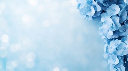 Leinwandbilder - Close-up of a blue hydrangea bloom with soft, radiant petals positioned elegantly on the left side, creating a serene atmosphere with dreamy bokeh on the right