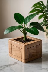 Poster - beautiful indoor plant in a stylish wooden planter on a marble table in a cozy living space