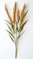 Poster - A delicate tan pampas grass branch features lush green leaves and soft feathery plumes. The neutral tones create a serene atmosphere, ideal for tranquil decor elements