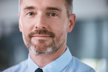 Fototapete - Office, work and portrait of businessman with smile for corporate career, ambition and pride. Professional, person and mature attorney at law firm with employee for legal company, job and confidence