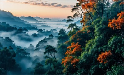 Poster - Foggy valley at dawn with colorful autumn trees. Serene forest landscape with layers of mountains and a vibrant sky. Peaceful and scenic view.