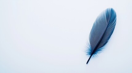 Poster - A delicate blue feather resting on a smooth, light background, showcasing intricate details and textures.