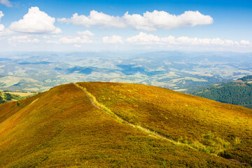 Wall Mural - path up the steep hill. carpathian mountain landscape in summer. grassy alpine scenery of ukrainian 