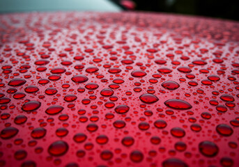 Poster - Water droplets on red surface create an abstract pattern with reflections and refractions showcasing surface tension and light interaction ideal for backgrounds and textures