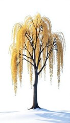 Wall Mural - Branches of a bare willow tree isolated on a pure white surface in early morning light, isolation, branch, landscape