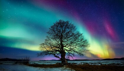 Wall Mural - aurora and tree