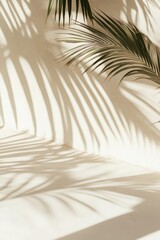 Poster - Delicate shadows cast by palm leaves fall across a softly illuminated wall, creating a tranquil and inviting atmosphere in a peaceful environment