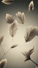 Poster - A feather is shown in the air with a white background. The feather is in the middle of the image
