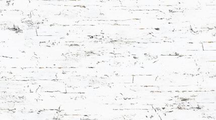 Wall Mural - abstract texture dust particle and dust grain on white black and white grunge urban texture vector w