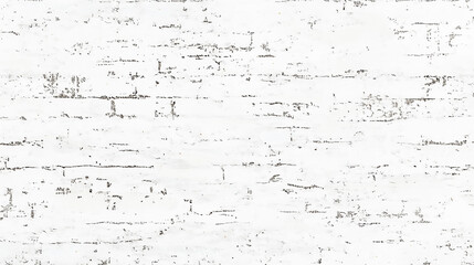 Wall Mural - abstract texture dust particle and dust grain on white black and white grunge urban texture vector w