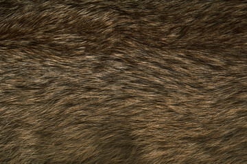 close-up fox fur texture with soft fluffy orange strands, detailed natural animal coat in wilderness