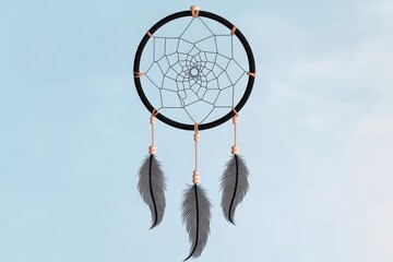 Poster - monochrome vector design of intricate dreamcatcher with delicate feathers and symmetrical details