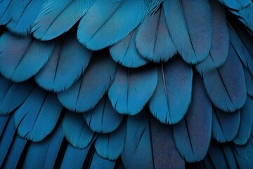 Poster - A close-up shot of soft, delicate blue feathers layered gently with a smooth texture, creating a calming and serene atmosphere.