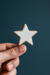 Poster - Minimalist Customer Satisfaction Star Elegant Five-Star Rating Cookie Symbolizing Premium Experience, Digital Quality Feedback and Innovative Brand Engagement