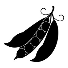 vector illustration of bean