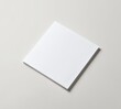 © Enjoy - Blank Square White Paper Mockup on Gray Background