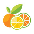 © PuspanjaliRani - citrus slice set lemon orange lime vector art illustrator