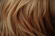 © Mr. Png - Wavy blonde hair texture with soft natural highlights