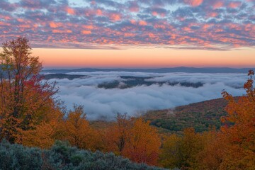 Wall Mural - colorful autumn landscape in the mountains sunrise over the clouds mountain top landscape view with 