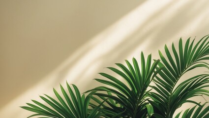 Poster - Minimal product placement background featuring a shadow on a plaster wall. Luxurious summer architectural interior aesthetic. Innovative product platform stage mockup.