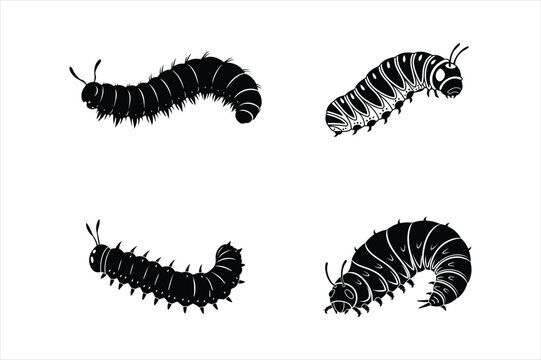 caterpillar-silhouette