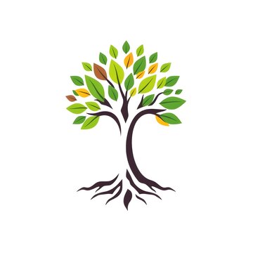 A digital illustration of a tree of life symbol, a root within a white background art illustration design