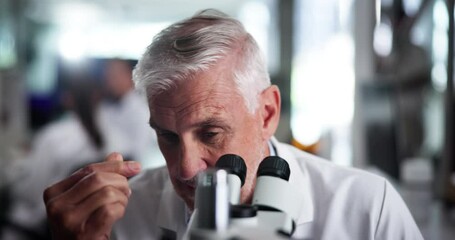Fototapete - Scientist, man and microscope at laboratory with headache, tired or stress with sample in pharmaceutical research. Mature person, migraine or pain with clinical study for medicine, burnout or fatigue