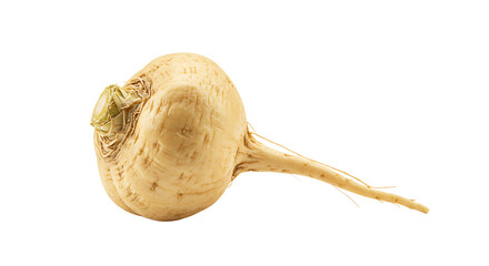 Isolated Maca Root on White Background Ready for Culinary Use
